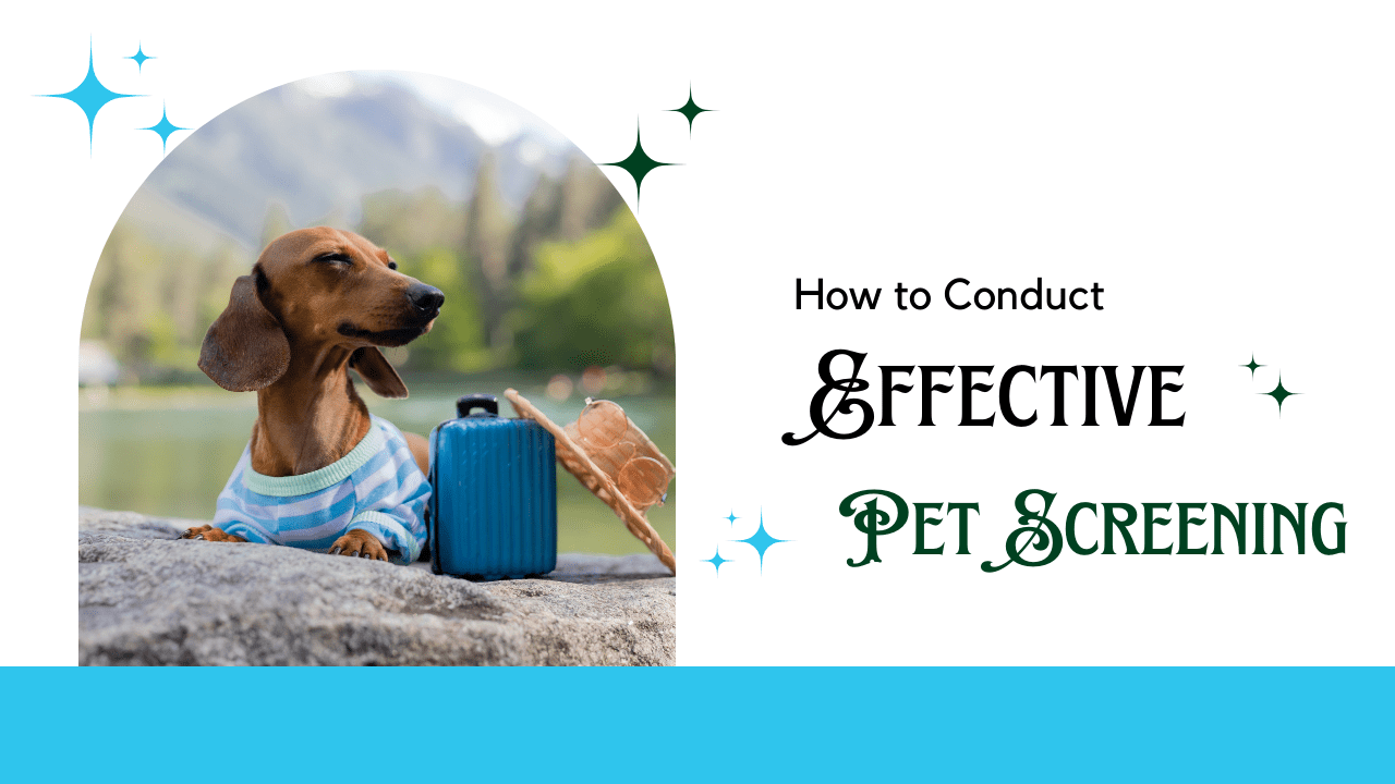 How to Conduct Effective Pet Screenings for Your Marin County Rental